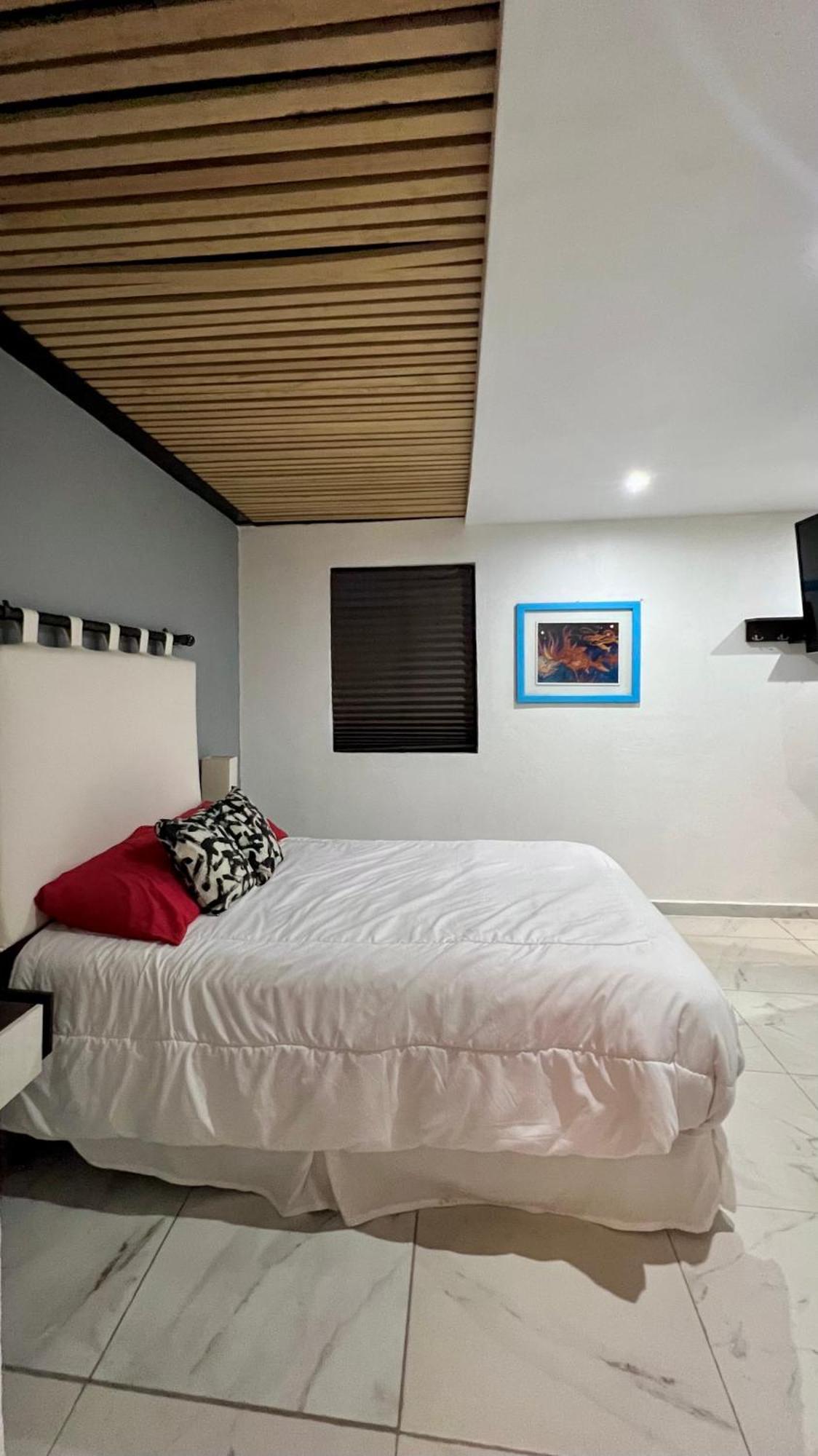 Imola - Exclusive In Guadalupe - Hivenb Mexico City
